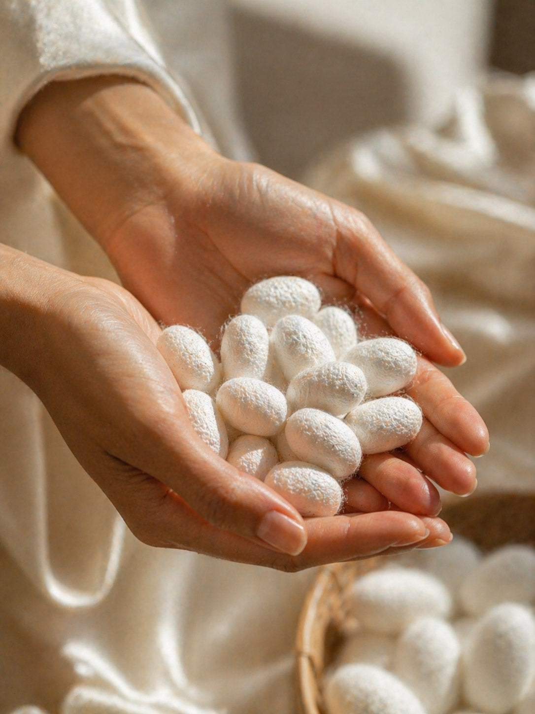 Born from a Love of Silk  | The Silk Avenue